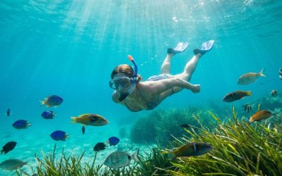 Fare Snorkeling a Lampedusa: Consigli e Migliori Spot
